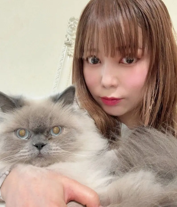 スクリーンショット 2025-07-10 153401