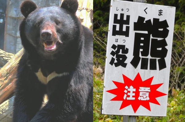 スクリーンショット 2025-07-20 004244