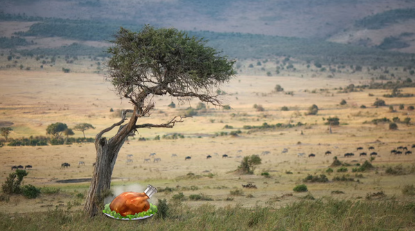 スクリーンショット 2024-12-24 174117