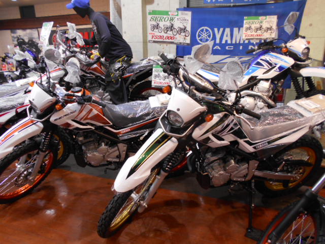 DSCN3313