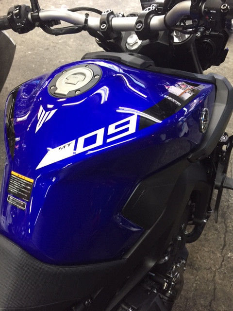 青いのん入ってます(・ω・)ノ