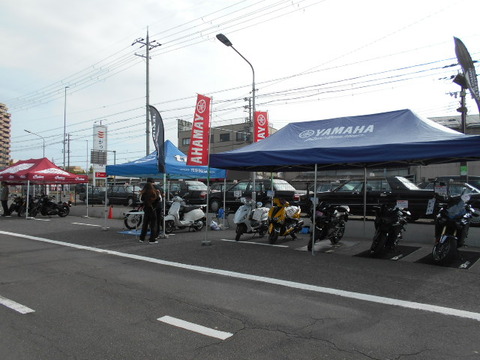 SSCN9493