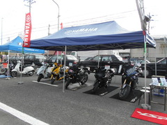 SSCN9489