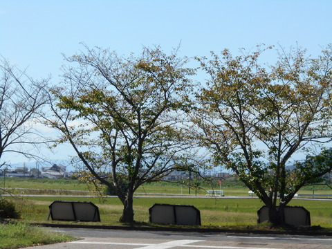 DSCN9670