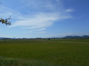 DSCN9671