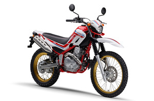 serow_2020_R 右前