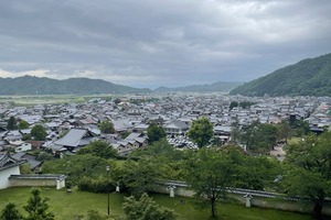 IMG_2629+