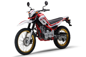 serow_2020_R 左前