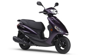 ﾊﾟｰﾌﾟﾙ 右前