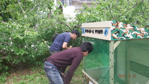 DSCF1991