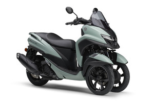 MLｸﾞﾘｰﾝ FR