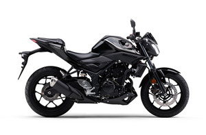 MT25 マットブラック 右