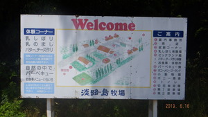 DSCF1984