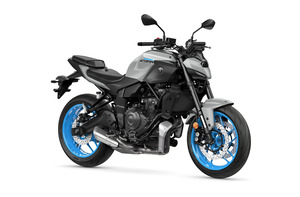 ﾗｲﾄｸﾞﾚｰ 右前