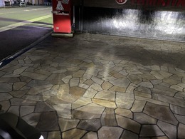 IMG_1571