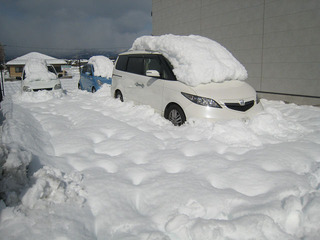 resize8258