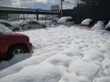 resize8256