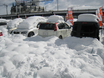 resize8255