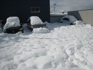 resize8257