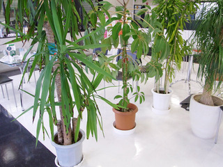 resize7380