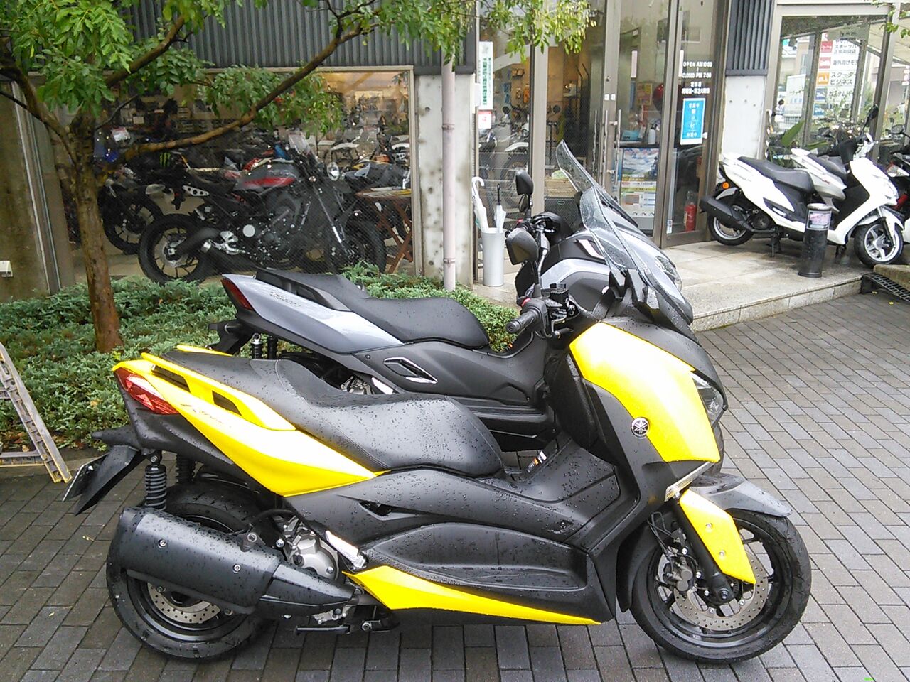 ちょこっとインプレッション『トリシティ300』乗ってみました! : YSP天白 バイク屋さんのつぶやき日記 ちょこっとインプレッション『トリシティ300』乗ってみました! : YSP天白 バイク屋さんのつぶやき日記