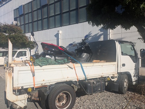 PXL_20250723_080818195
