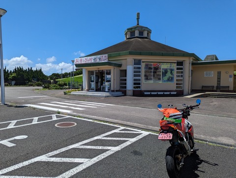 PXL_20230716_040943979