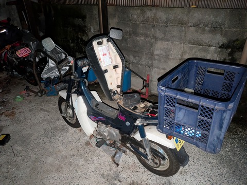 PXL_20260402_112359357