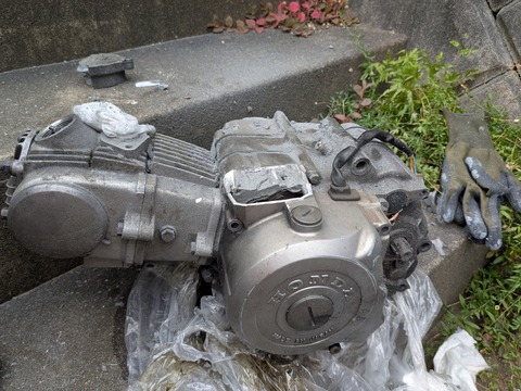 PXL_20250708_101108180