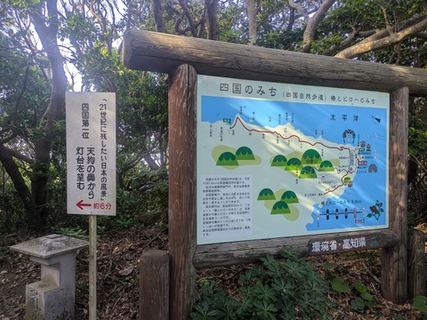 PXL_20260515_074634827