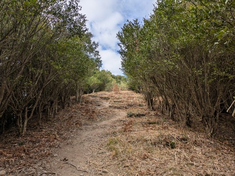 PXL_20251130_050147475