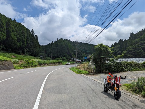 PXL_20230716_015539389