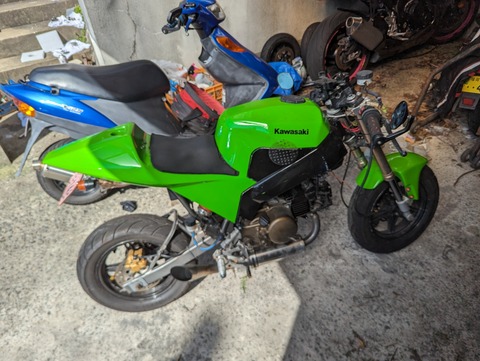 PXL_20230829_061120336