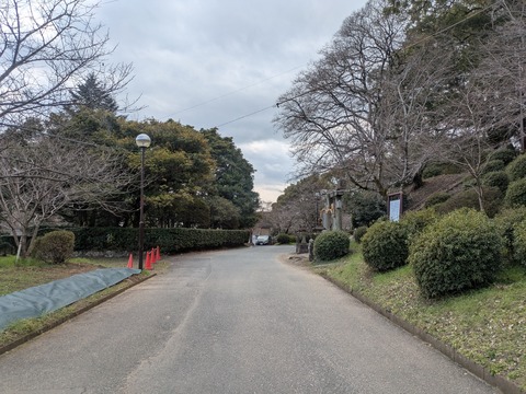 PXL_20260222_035933929