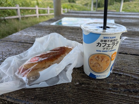 PXL_20240929_003311296