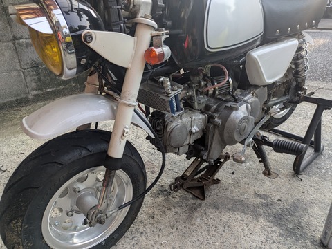 PXL_20250701_081329559