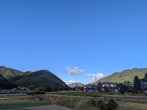 PXL_20221105_055223212