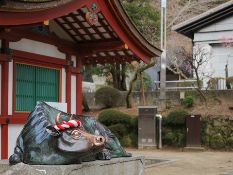 20210215154304_IMG_0057