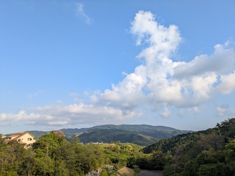PXL_20260515_080907139