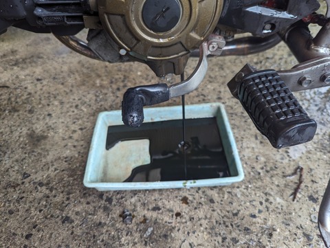 PXL_20240415_063149175