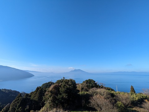 PXL_20240102_004710601