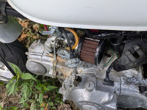 PXL_20240707_014840005