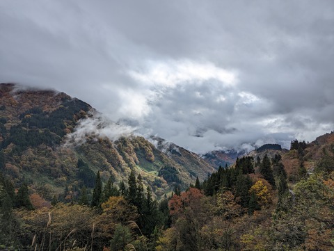 PXL_20221104_030037790