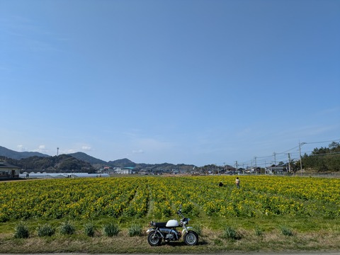 PXL_20250308_022718649