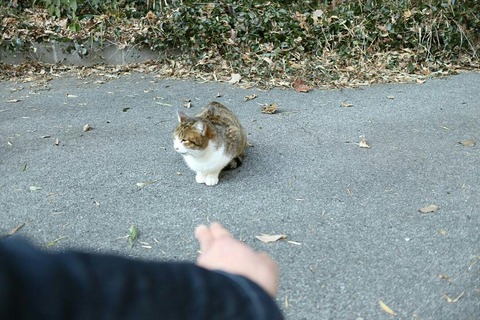 IMG_20180127_202734_449