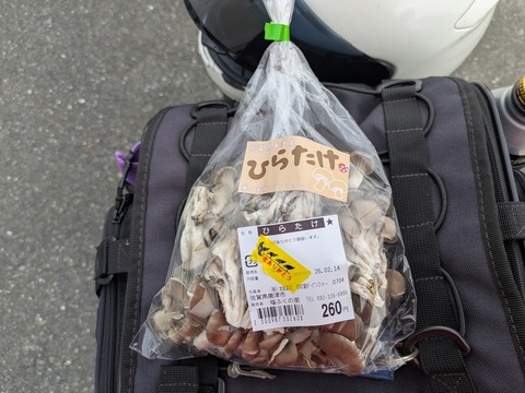 PXL_20260214_031044271