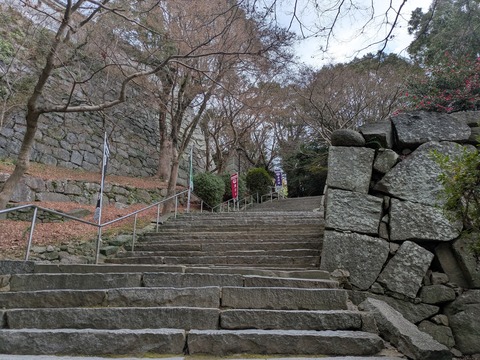 PXL_20251227_024525011