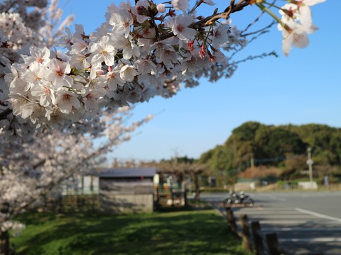 20210327080208_IMG_0165