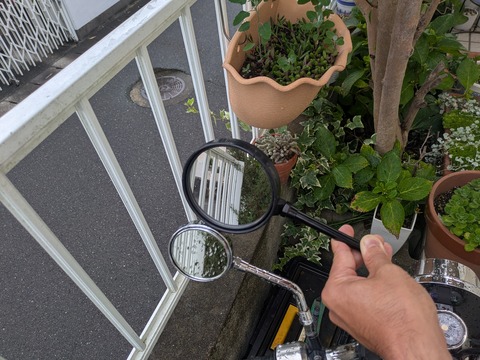 PXL_20250713_092034650