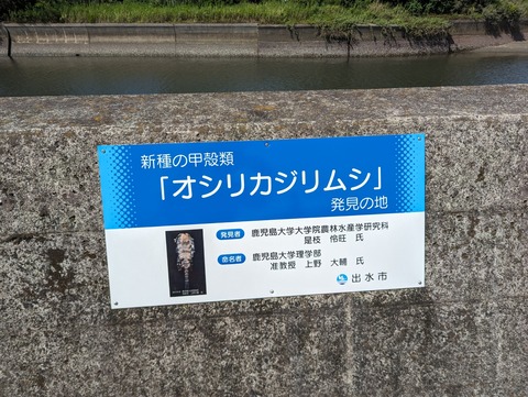 PXL_20230812_004419340